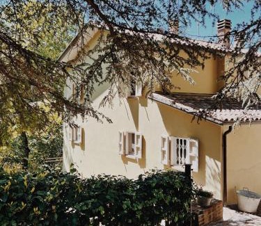 Voltre Bed & Breakfast | Casa immersa nelle colline romagnole