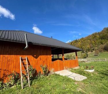 Gura Humorului House | Casa Irina