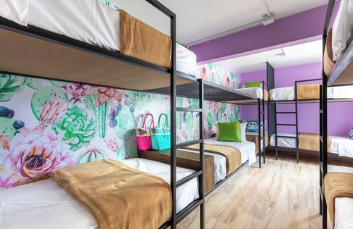 Colonia Cuauhtemoc Hotel | Casa Kanabri, Boutique Hostel in CDMX