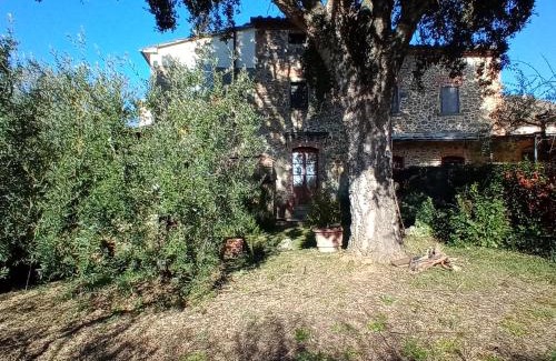 Lamporecchio House | Casa La Sughera, Lamporecchio, Vinci