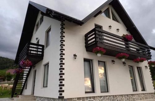 Dorna Candrenilor House | CASA LENA -VATRA DORNEI
