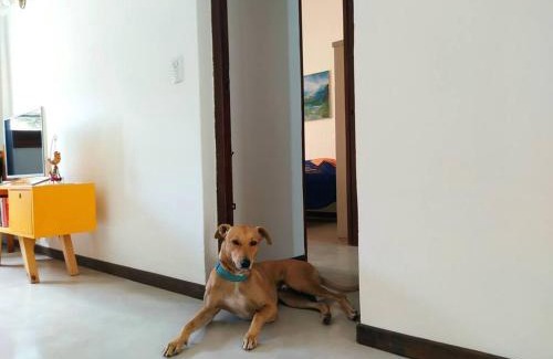 Chascomus House | Casa Limón