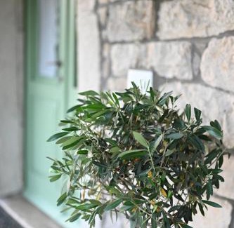 Buzet Apartment | Casa Miro