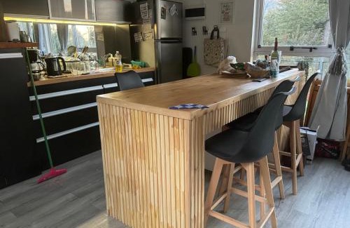 Correntoso Cabin | Casa moderna en el bosque y montaña