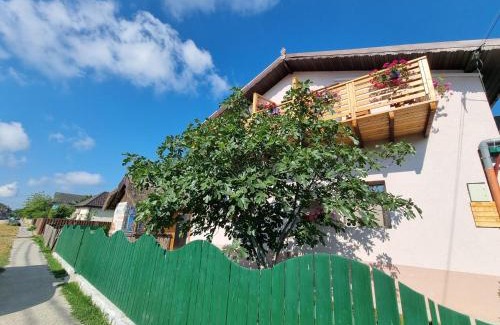 Sfantu Gheorghe Bed & Breakfast | CASA MOREANA