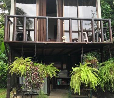 Uvita Cabin | Casa Morpho Uvita Guesthouse