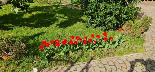 Imola House | Casa Nostra