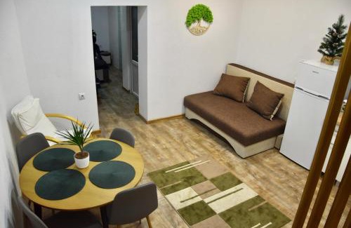 Borsec Apartment | Casa Orhideea