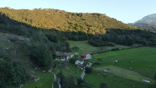 Santa Eulalia de Morcin House | Casa pando 49