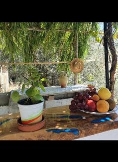 Alcaucin House | Casa papi