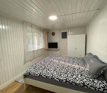 Lunca Mare House | Casa Parvu