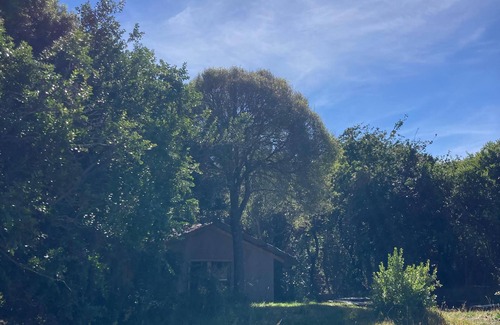 Puerto Aysen Cabin | Casa Piedra Refuge, Ingeniero Ibañez Port.
