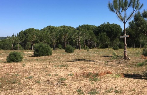 Cartaya House | Casa Pilila, Alojamientos El Rompido