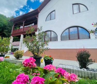 Covasna House | Casa POTE