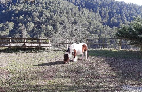 Campdevanol Apartment | Casa Rural Mas Pujol