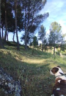 Illana House | Casa Rural MONTE VERDE