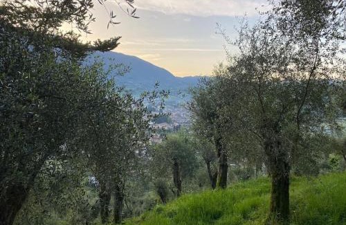 Camaiore House | Casa Rurale in mezzo al verde