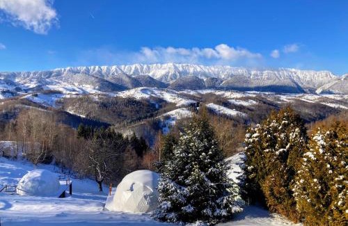 Moieciu House | Casa Stelar - A breathtaking view