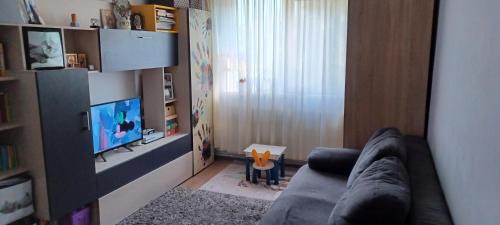 Sfantu Gheorghe Apartment | Casa Tasi