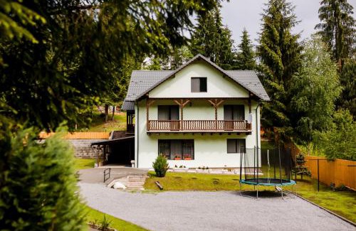 Toplita Cabin | Casa Tudor