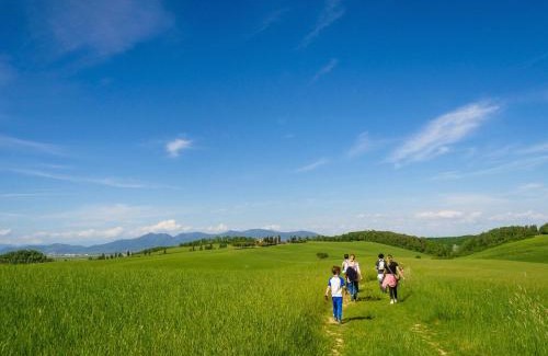 Collesalvetti House | Casa vacanza Maura relax Toscana