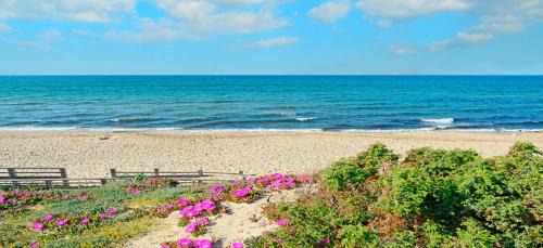 Sorso House | CASA VACANZE ARBORIAMAR SORSO SARDEGNa