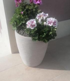 Sortino House | Casa vacanze indipendente in campagna