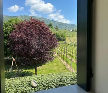 Valdobbiadene Apartment | Casa Vacanze Ricca Vigna
