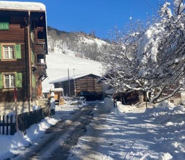 Trun Apartment | Casa Vegana 4,5 Zimmer 8Pl, 3 Badezimmer