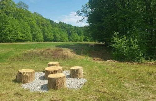 Cocorastii Mislii House | Casa Venus