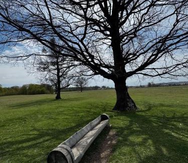Cocorastii Mislii House | Casa Venus
