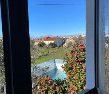 Vila Nova de Tazem House | Casa Videira