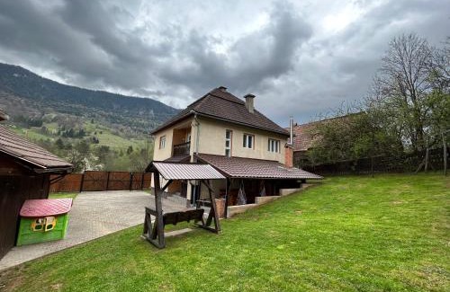 Vidra House | Casa Vidra