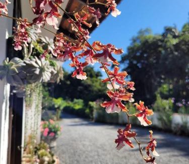 Pomerode House | Casa Wunder Platz