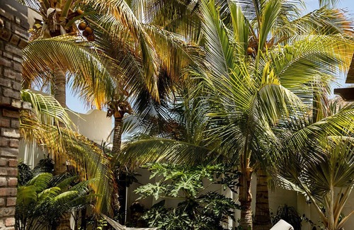 El Sargento House | CASACORAZONmx “Oasis” 2bd Tropical Beachfront - Amazing Views! 325.00n