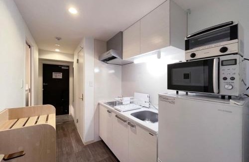 Hiroshima City Centre Apartment | Casaen by b hotel - Entire Apt for 6Ppl City Center