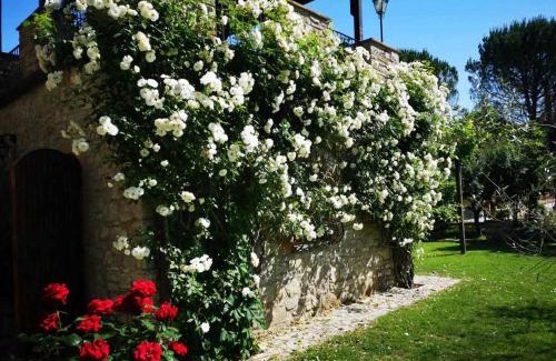 San Venanzo House | Casale dei Puppi, una bellissima casa rustica