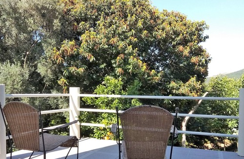 Ribeira de Pena House | Casas do Caminho Velho - One Bedroom Apartment