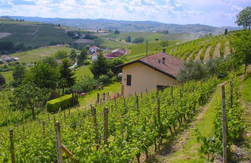 Nizza Monferrato House | Cascina tra i vigneti a Nizza Monferrato