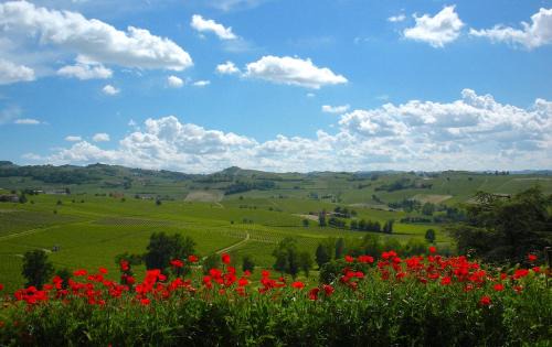 Nizza Monferrato House | Cascina tra i vigneti a Nizza Monferrato