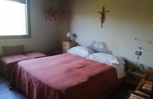 Montorsaio House | Casetta dell`Uliveto