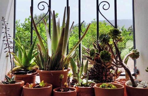 Beznar House | Casita with lake view - mountains, coast & city nearby