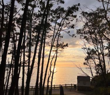 Navia House | Casona Naviega