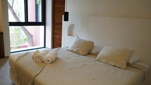 Tulum Villa | Casona Tulum - Pool