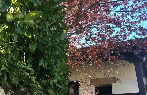 Puente Viesgo Cottage | Castañeda Lodge. Rural house with private garden and hydromassage