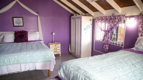 West End Villa | Castle Cove -Ocean Front Villa