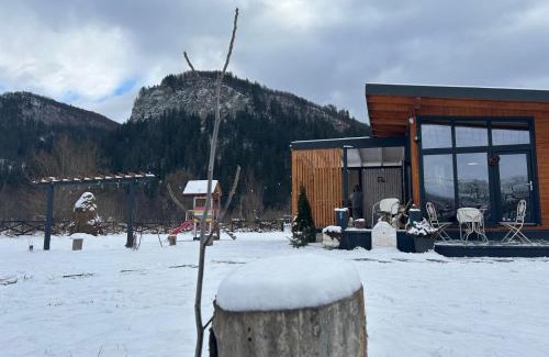 Lupsa House | Casuta de sub stanca Apuseni,hot tub inclus