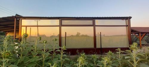 Remetea Mare House | Casuta verde Craiova, langa padure!