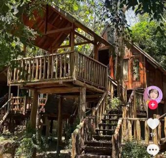 Quan Tom Cabin | Cat Tien Nature Hotel