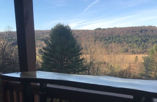 Franklin Ski Chalet | Catskill BoHo 2 Bedroom 2Bath Chalet 20 minutes from Baseball camp